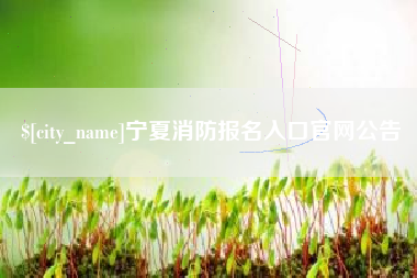 阿勒泰宁夏消防报名入口官网公告