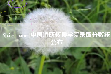 阿勒泰中国消防救援学院录取分数线公布