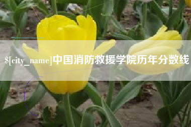 阿勒泰中国消防救援学院历年分数线