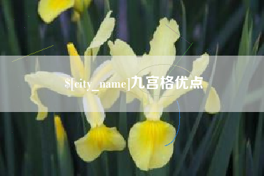 阿勒泰九宫格优点