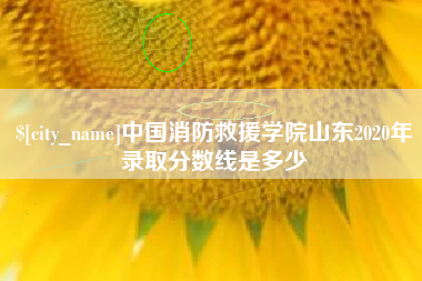 阿勒泰中国消防救援学院山东2020年录取分数线是多少
