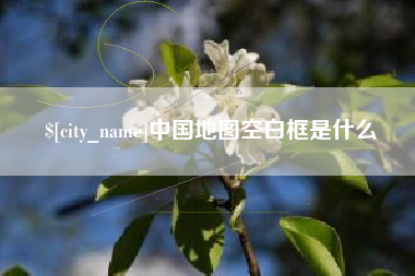 阿勒泰中国地图空白框是什么