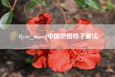 阿勒泰中国地图格子画法