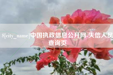 阿勒泰中国执政信息公开网-失信人员查询页