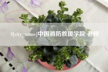 阿勒泰中国消防救援学院 老师