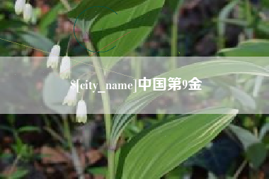 阿勒泰中国第9金
