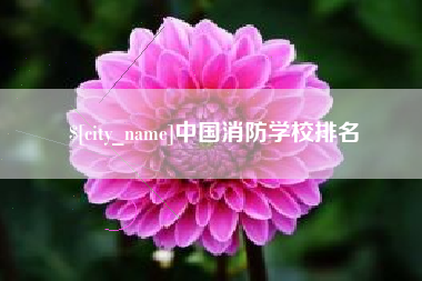 阿勒泰中国消防学校排名
