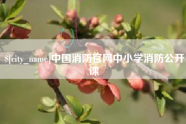 阿勒泰中国消防官网中小学消防公开课