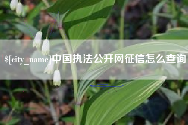阿勒泰中国执法公开网征信怎么查询