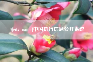 阿勒泰中国执行信息公开系统