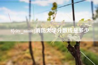 阿勒泰消防大学分数线是多少