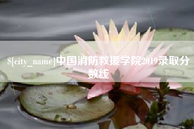阿勒泰中国消防救援学院2019录取分数线