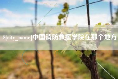 阿勒泰中国消防救援学院在那个地方