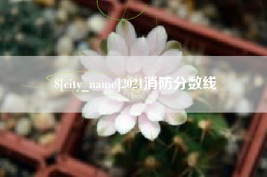 阿勒泰2021消防分数线