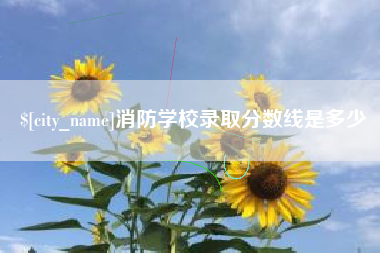 阿勒泰消防学校录取分数线是多少