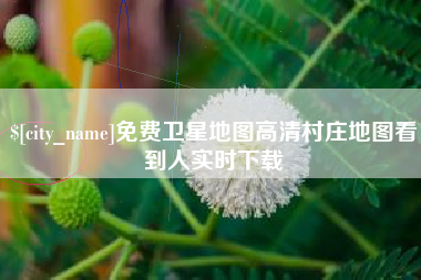 阿勒泰免费卫星地图高清村庄地图看到人实时下载