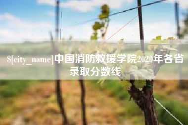 阿勒泰中国消防救援学院2020年各省录取分数线