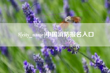 阿勒泰中国消防报名入口