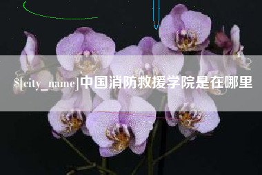 阿勒泰中国消防救援学院是在哪里
