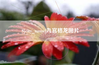 阿勒泰九宫格龙图片