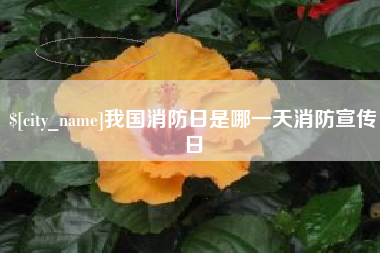 阿勒泰我国消防日是哪一天消防宣传日