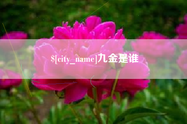阿勒泰九金是谁