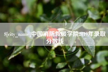 阿勒泰中国消防救援学院2019年录取分数线