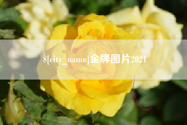 阿勒泰金牌图片2021