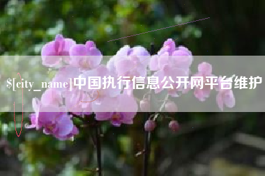 阿勒泰中国执行信息公开网平台维护