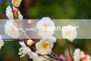 阿勒泰“中国执行公开网”