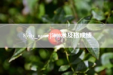 阿勒泰5000米及格成绩