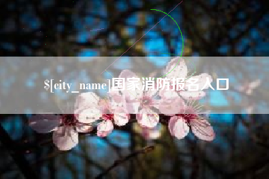 阿勒泰国家消防报名入口