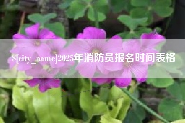 阿勒泰2025年消防员报名时间表格