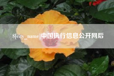 阿勒泰中国执行信息公开网后