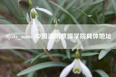 阿勒泰中国消防救援学院具体地址