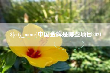 阿勒泰中国金牌是哪些项目2021
