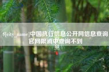 阿勒泰中国执行信息公开网信息查询官网限消中查询不到