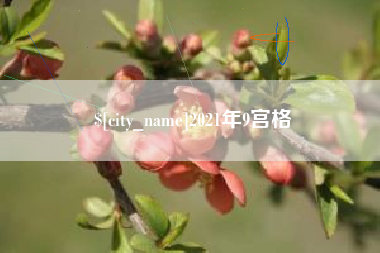 阿勒泰2021年9宫格