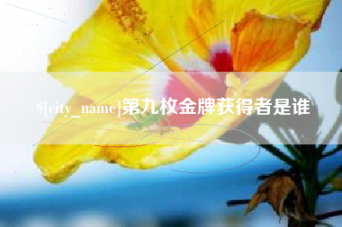 阿勒泰第九枚金牌获得者是谁