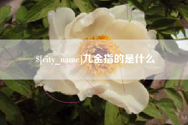 阿勒泰九金指的是什么