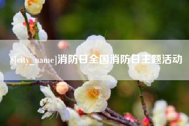 阿勒泰消防日全国消防日主题活动