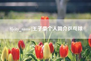 阿勒泰王子豪个人简介乒乓球