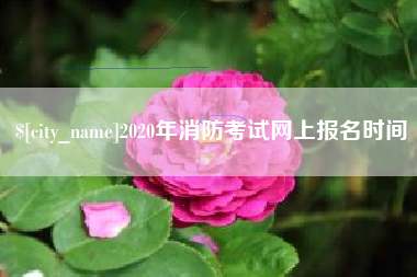 阿勒泰2020年消防考试网上报名时间
