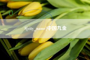 阿勒泰中国九金
