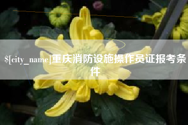 阿勒泰重庆消防设施操作员证报考条件