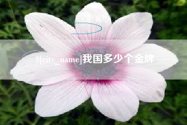阿勒泰我国多少个金牌