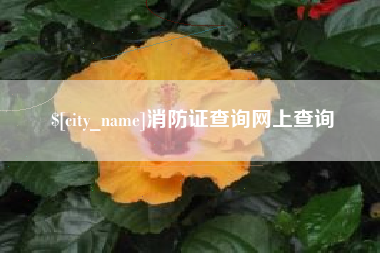 阿勒泰消防证查询网上查询