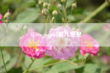 阿勒泰第九金是
