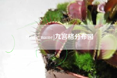 阿勒泰九宫格分布图