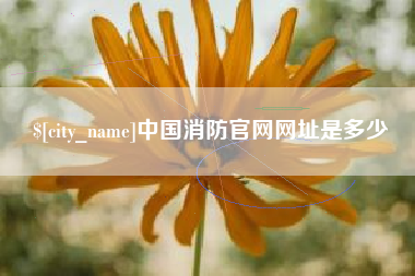 阿勒泰中国消防官网网址是多少